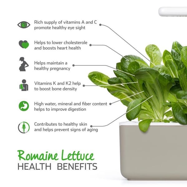 Romainsallatsfrö Smart Graden Click&Grow 3 plantor