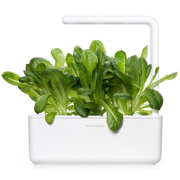 Romainsallatsfrö Smart Graden Click&Grow 3 plantor