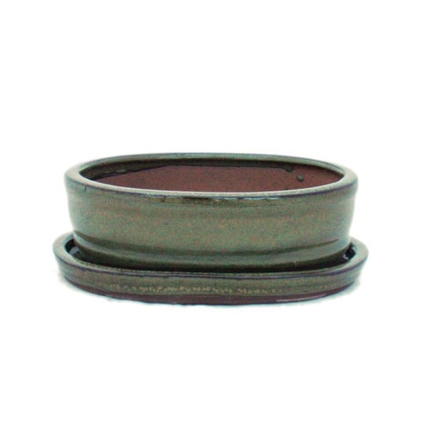 bol bonsai med fat storlek 2 - brun oliv - oval - modell o7 - l 15,5cm - b 12cm - h 4,5cm