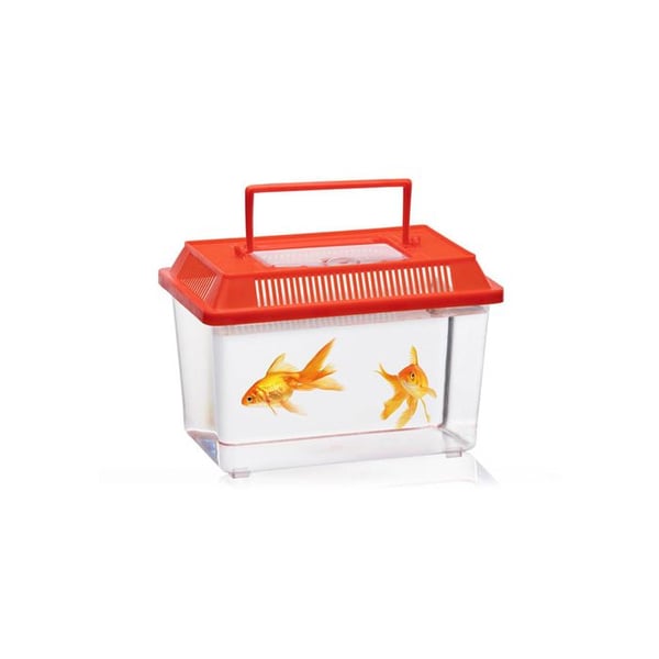 Låda Insekter Färger Assorterade
