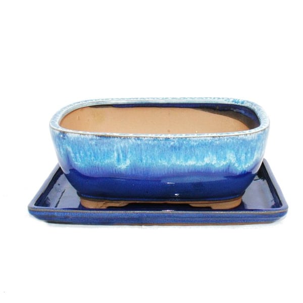 Bonsaiskål med underlägg St. 8 tum blå-beige fyrkantig Modell G5B L 20,5 cm B 16 cm H 8 cm