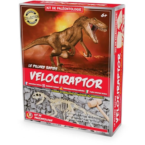Paleontologikit - ULYSSE - Vélociraptor - Verktyg ingår - Skelettmontering - Från 6 år