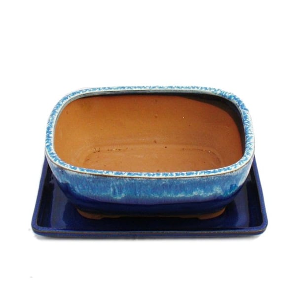 Bonsaiskål med underlägg St. 8 tum blå-beige fyrkantig Modell G5B L 20,5 cm B 16 cm H 8 cm