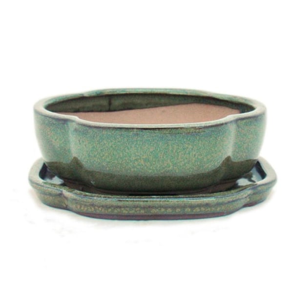 bonsai skål med fat storlek 2 - olivbrun - haitang/oval - modell i5 - l 14,5 cm - b 12,5 cm - h 5 cm