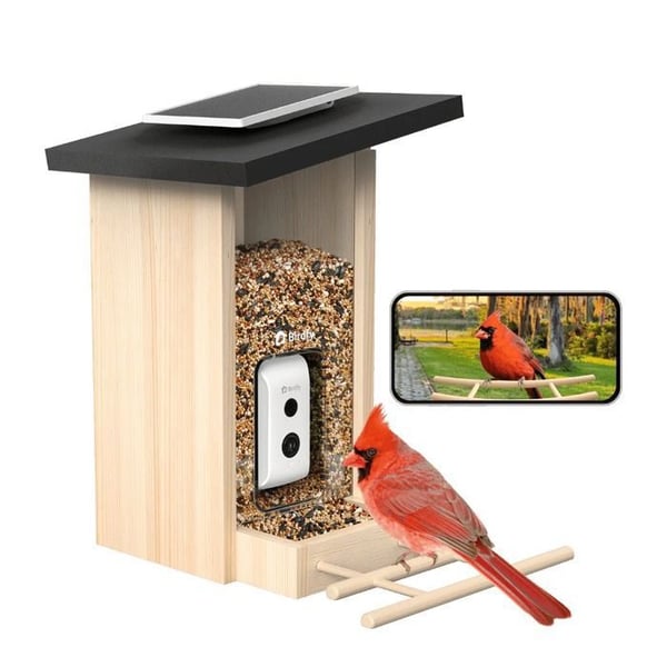 Birdfy Ebony Lite - Fågelmatare med HD WiFi-kamera - AI-artigenkänning - Solpanelens autonomi