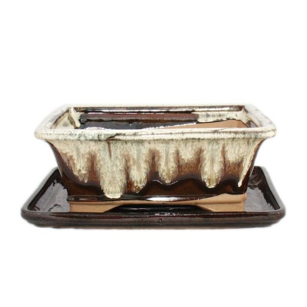 Bonsaiskål med fat Stl. 8 tum brun-beige fyrkantig Modell G93 L 21cm B 16cm H 8cm