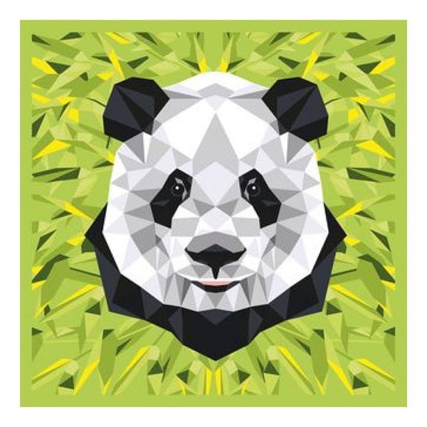Målarsats med nummer - Panda - 30 x 30 cm - Akryl - För barn - Blandat