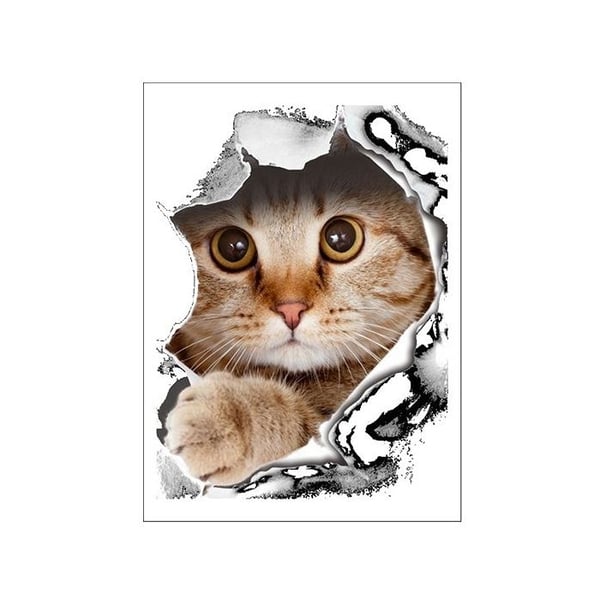 Kattklistermärke genom väggen