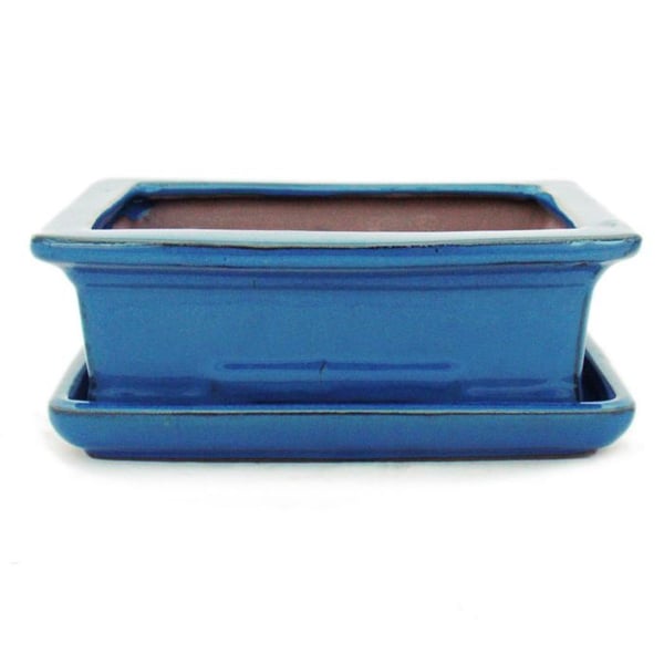 bol bonsai med fat storlek 3 - blå - fyrkantig - modell g29 - l 18cm - b 13cm - h 13cm - h 6cm