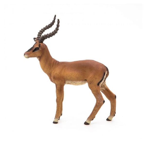 Figurine Impala - PAPO - Multifarvet - Barn - Brun - 3 år - Medlem af antilopefamilien