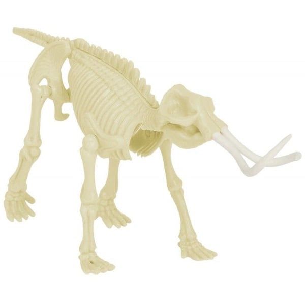 Paleontologikitt - ULYSSE - Mammut - lera och verktyg - montera skelettet - från 6 år