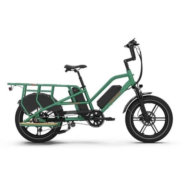 Jobobike Transer-N50 Elcykel för Vuxna, Motor 250 W, Batteri 48 V 15 Ah, Breda Däck 20 Tum