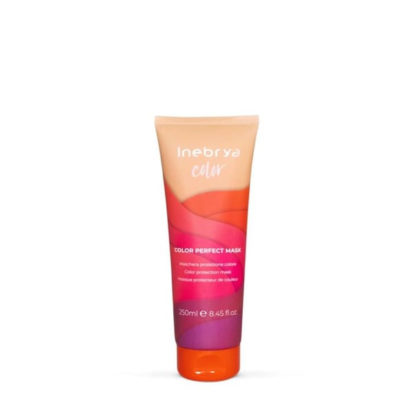 Masque - INEBRYA - Color Perfect - 250ml - Färgat hår - Skyddande