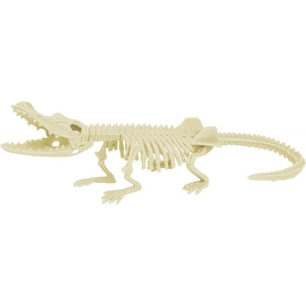 Paleontologikit - ULYSSE - Krokodil - Inkluderade verktyg - Lera - Från 6 år