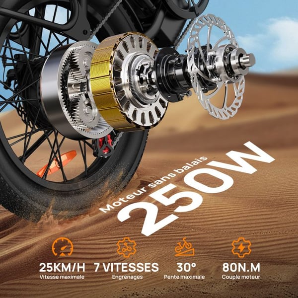 Elcykel - URLIFE - E20 - Motor 250 W - Batteri 48 V 13 Ah - Dæk 20 tommer til terræn
