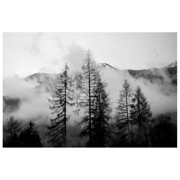 Legendarte - Målning, Tryck på duk - Bare Pines in the Clouds cm. 60x90