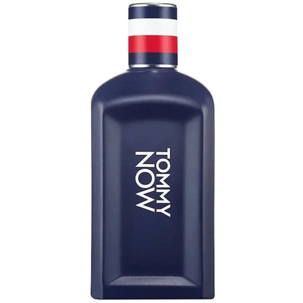 Tommy Hilfiger Eau De Toilette 100ml