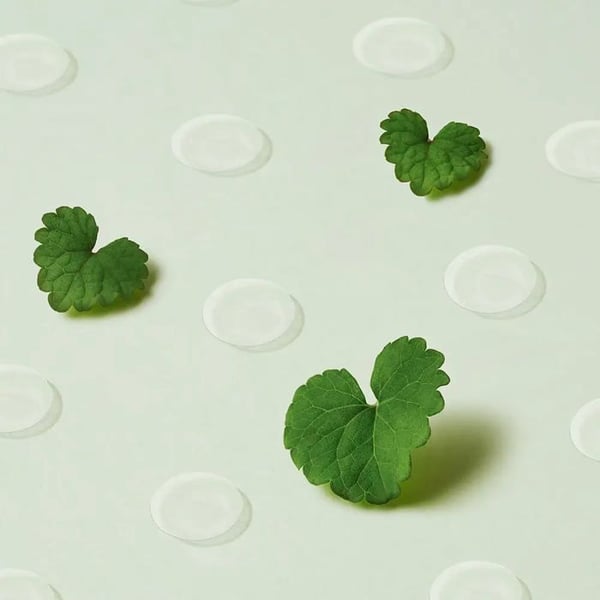 Patchs - PURITO - Wonder Releaf Centella - 51 stk - Vegansk - Anti-urenheder