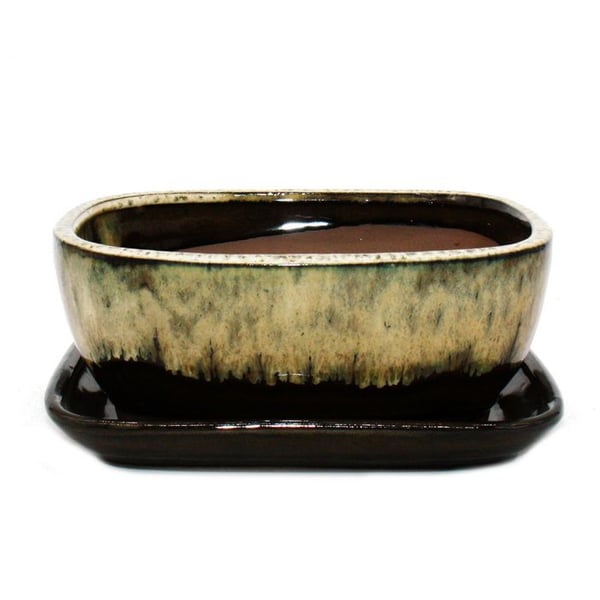 bonsai skål med fat St. 3 - brun-beige - rektangulär - modell gb5 - l 21,5cm - b 17cm - h 8 cm