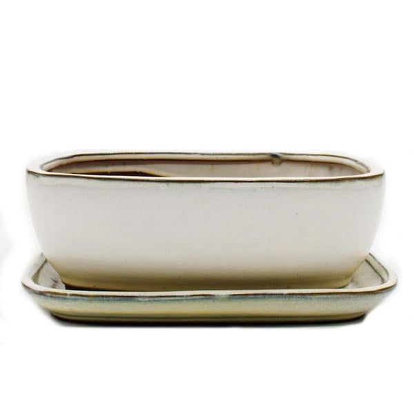 bonsai skål med fat storlek 4 - ljusbeige - rektangulär - modell gb5 - l 26cm - b 20cm - h 9cm