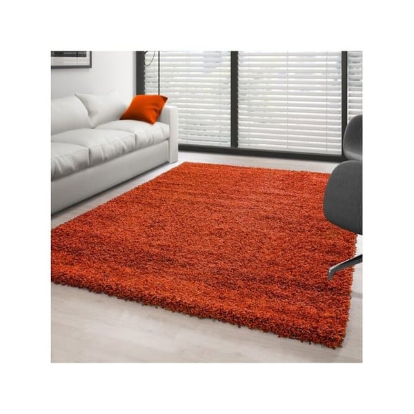 Mjuk och fluffig Shaggy-matta 30 mm för vardagsrum och sovrum (Dimension: 300x400 cm - Färg: Terrakotta)