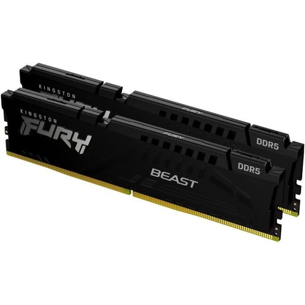 KINGSTON TECHNOLOGY Beast RAM DDR5 16GB (2 x 8GB) 5600MHz CL40