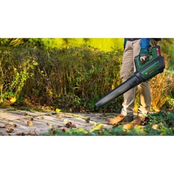 Langaton Advanced Leaf Blower 36V750 NU