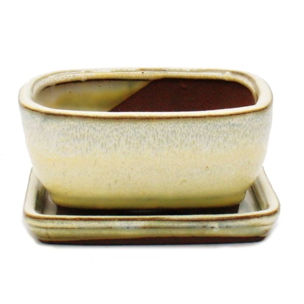 bonsai skål med fat Gr. 1 - ljusbeige - rektangulär - modell gb5 - l 12cm - l 9,5cm - h 5,5 cm