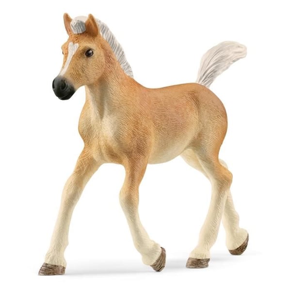 SCHLEICH - Föl Haflinger - 13951 - Range: Hästklubb