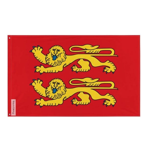 Normandflagga med två leoparder – 64 x 96 cm – Hållbar polyester – 2 ögla i metall – Inomhus / Utomhus – Pixelforma