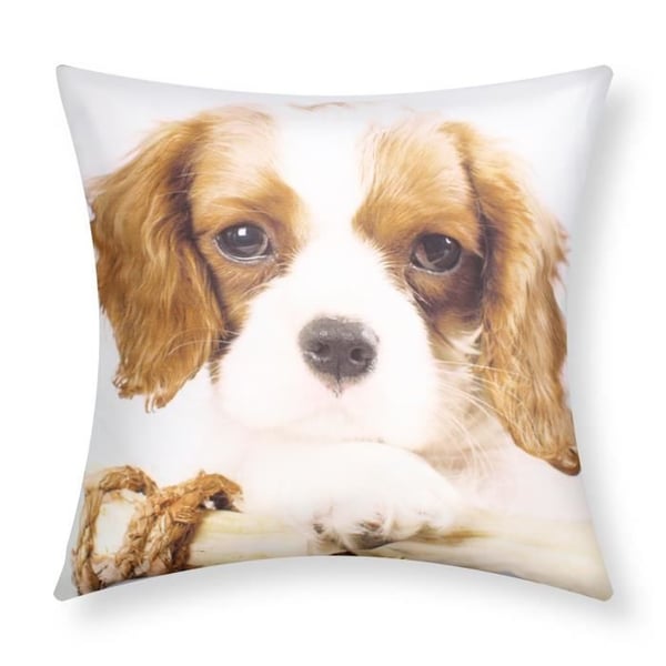 Kuddfodral - AVIZAR - 2-pack - 40x40 cm - King Charles hundmönster - Syntetisk