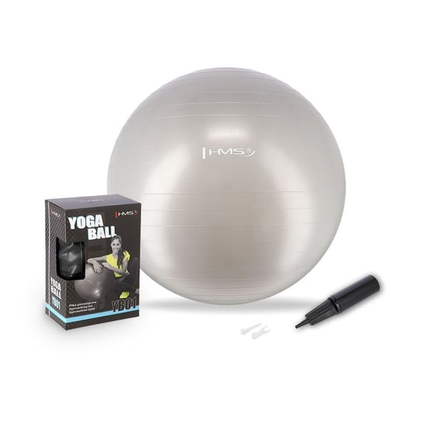 Gymnastikboll - HMS - 65 cm - Grå - Halkfri yta - Pump ingår - Max belastning 100 kg