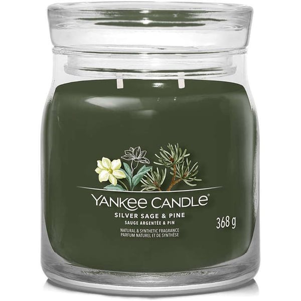 CANDELA GIARA MEDIA SILVER SAGE & PINE