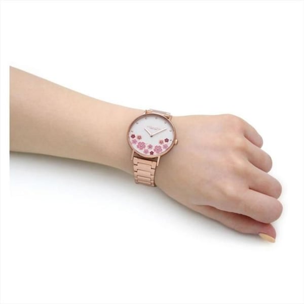 Coach Watch 14503768
