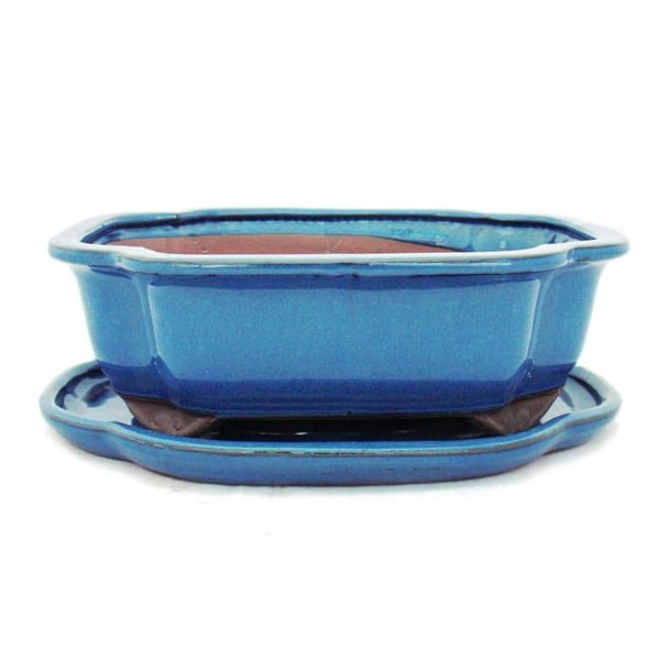 bonsai skål med fat storlek 4 - blå - haitang/oval - modell i4 - l 26cm - b 20,5cm - h 8,5cm