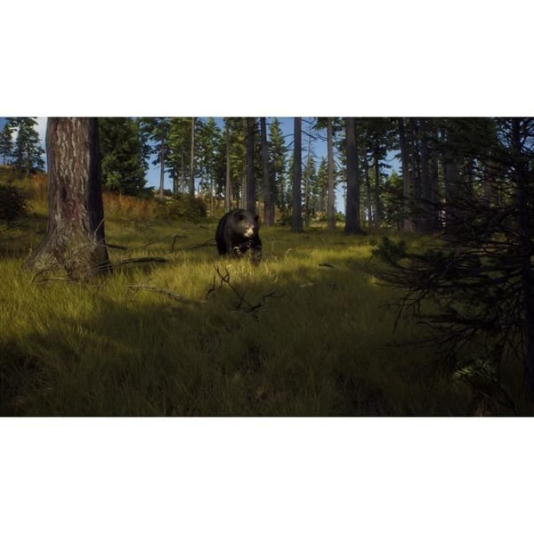 Way of the Hunter Xbox Series X-spel