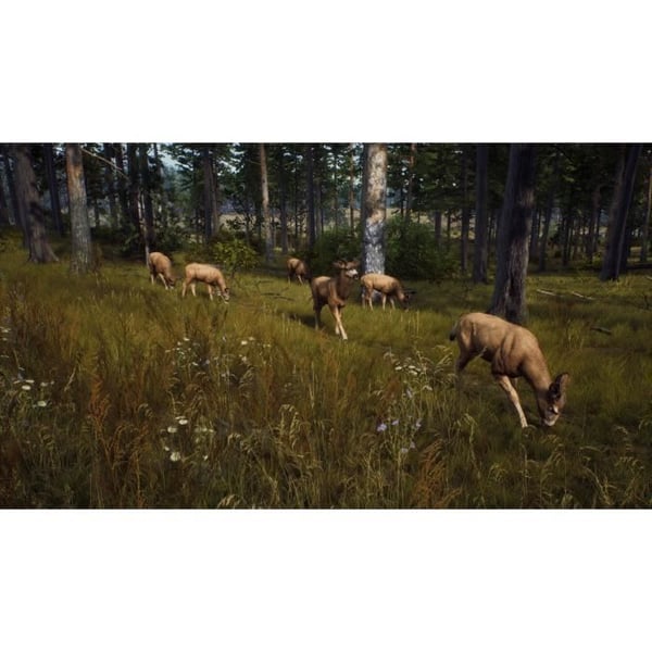 Way of the Hunter Xbox Series X-spel