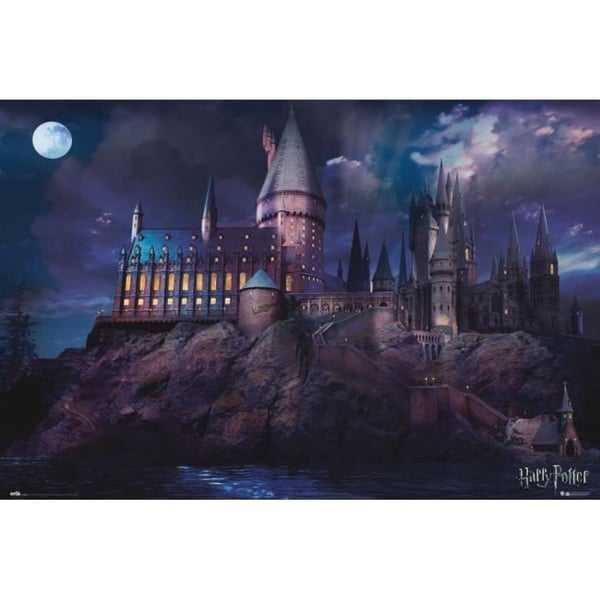 Affisch - Harry Potter - Hogwarts - 61x91,5 cm - Flerfärgad - Väggdekoration
