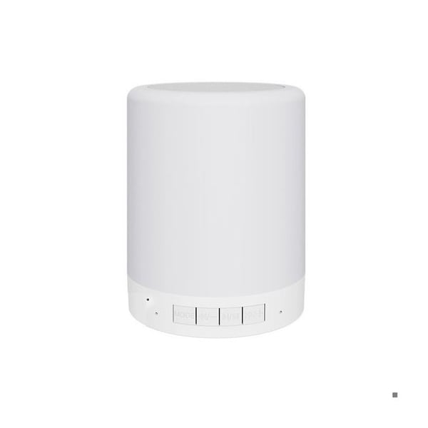WIFI HD spionkamera med Bluetooth-högtalare och lampa