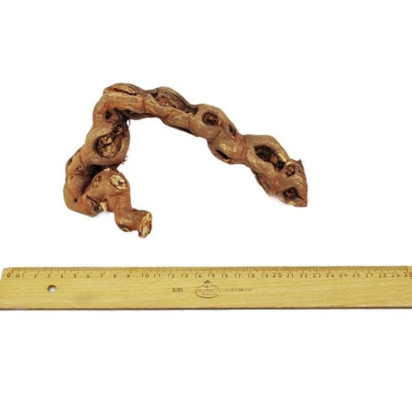 Vinstockar 18-20 cm