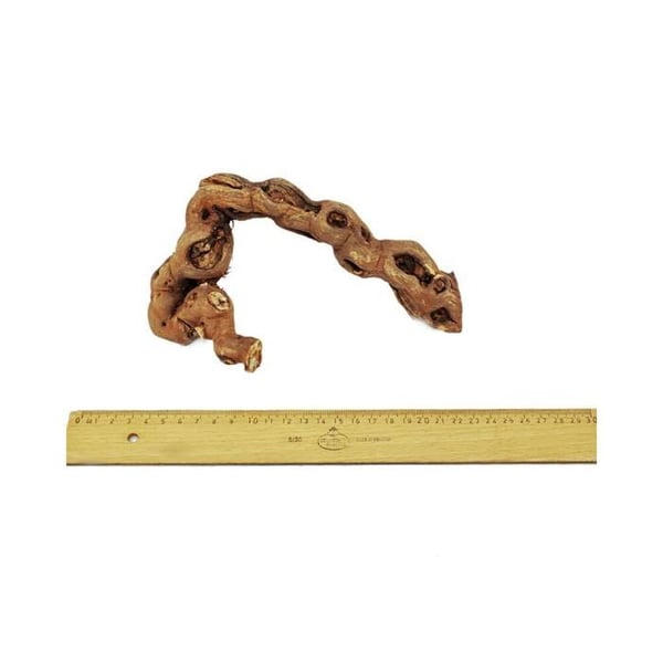 Vinstockar 18-20 cm