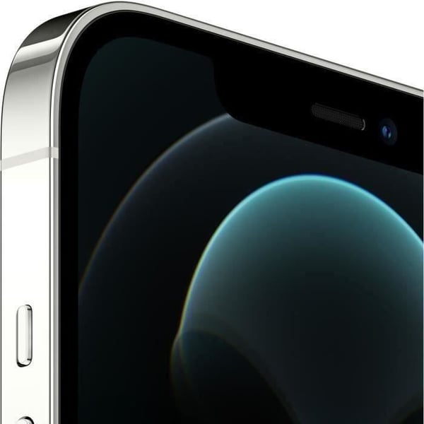 APPLE iPhone 12 Pro Max 256GB Silver - Begagnad - Bra skick