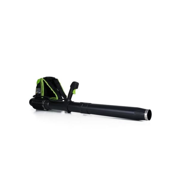 GREENWORKS Rygblæser elektrisk GD60BPBK4 - 60 V - 1 batteri 4 Ah + 1 oplader - Grøn