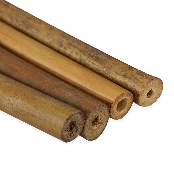 Växtpinnar, Bambu, 120 cm, Natur, Kodustaar