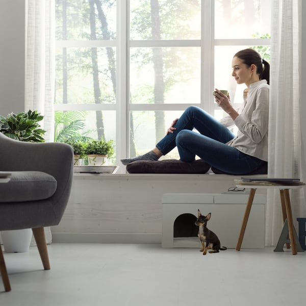 Bänk med kattgömma, 38,5x74,5x37 cm, Beige, Kodustaar