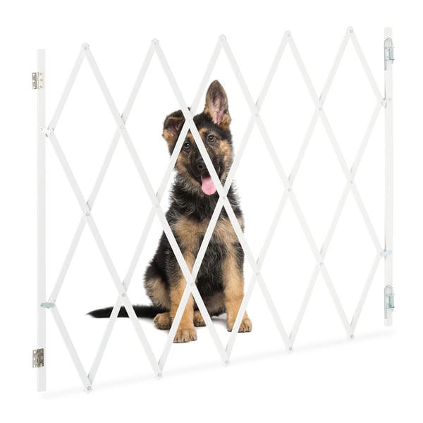 Hundegitter, 17x130x100 cm, Hvid, Kodustaar