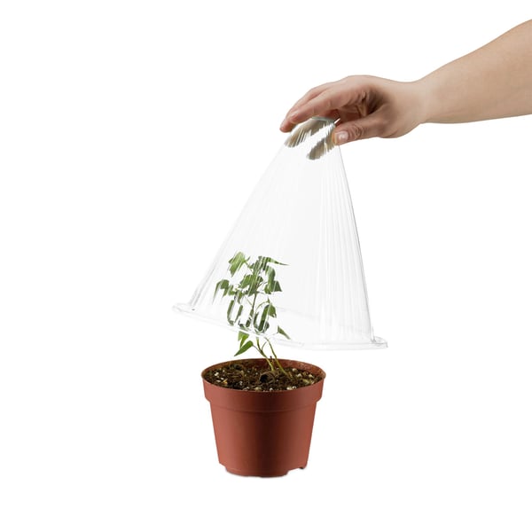 Plantekeglesæt, 22x19x19 cm, Transparent, Kodustaar