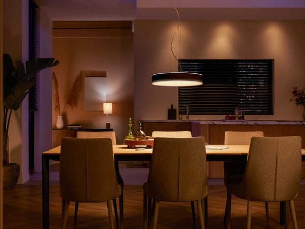 Philips Hue Enrave white ambiance - smart hængelampe, sort