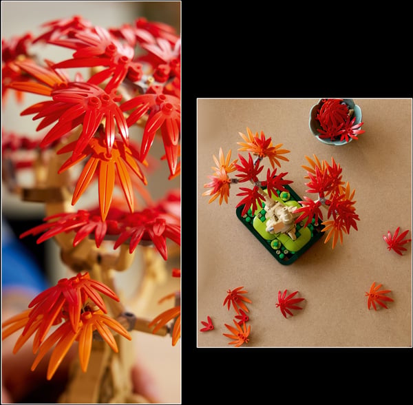 LEGO Botanicals 10348 Rödbladig japansk lönn-bonsaiträd