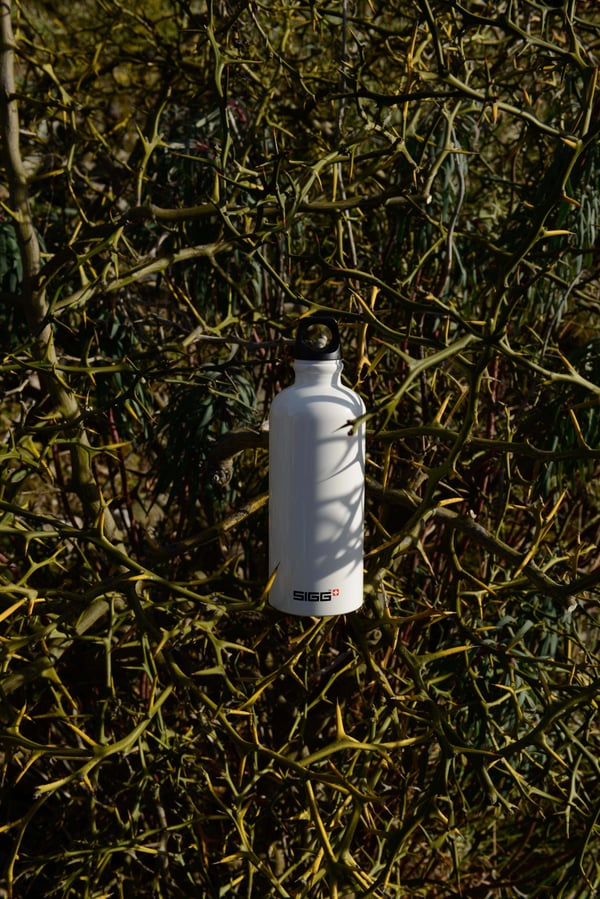 SIGG Traveller White drikkedunk, 0,6 l, hvid